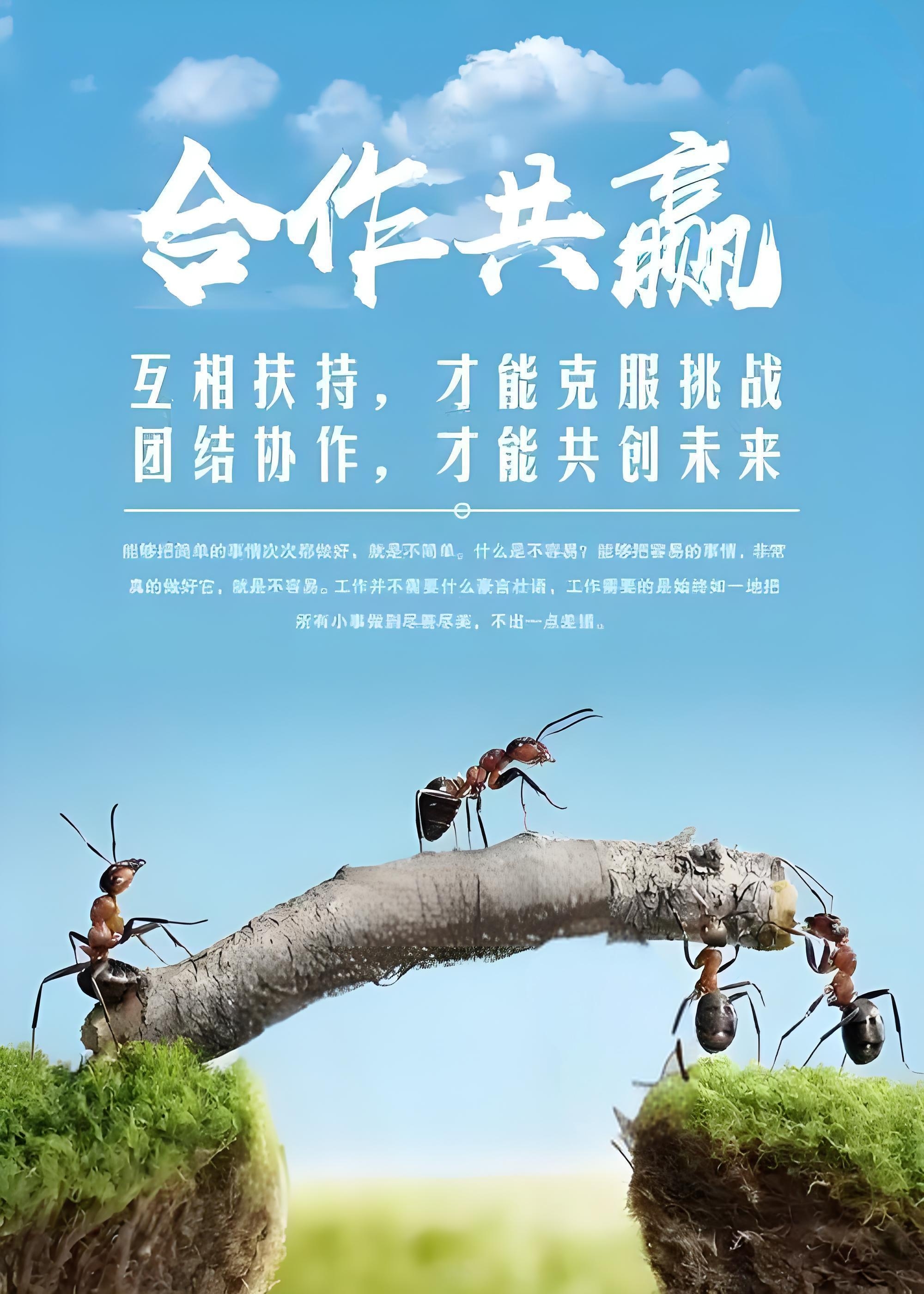 包含无畏挑战：每一场比赛都是磨炼的词条