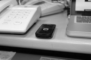 米兰体育在线登录-技术数据揭示冠军转身平均仅0.65秒，冠军转盘